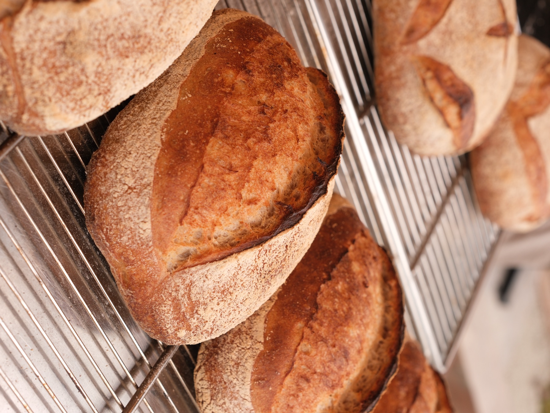 Country loaves baked by Field Kiln Cafe